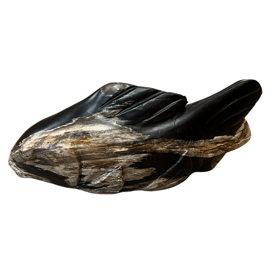 Petrified Wood Fish, Small