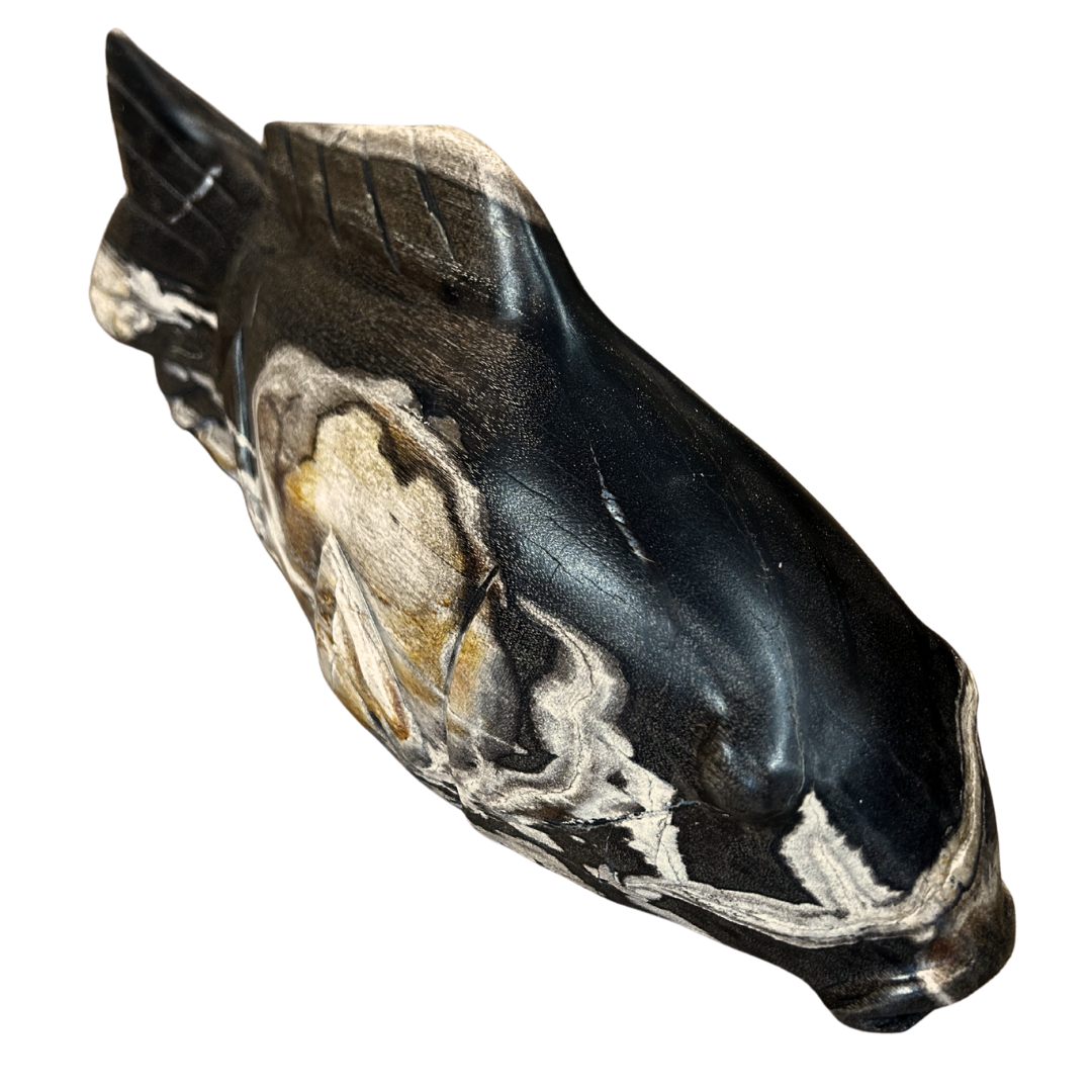 Petrified Wood Fish, Large