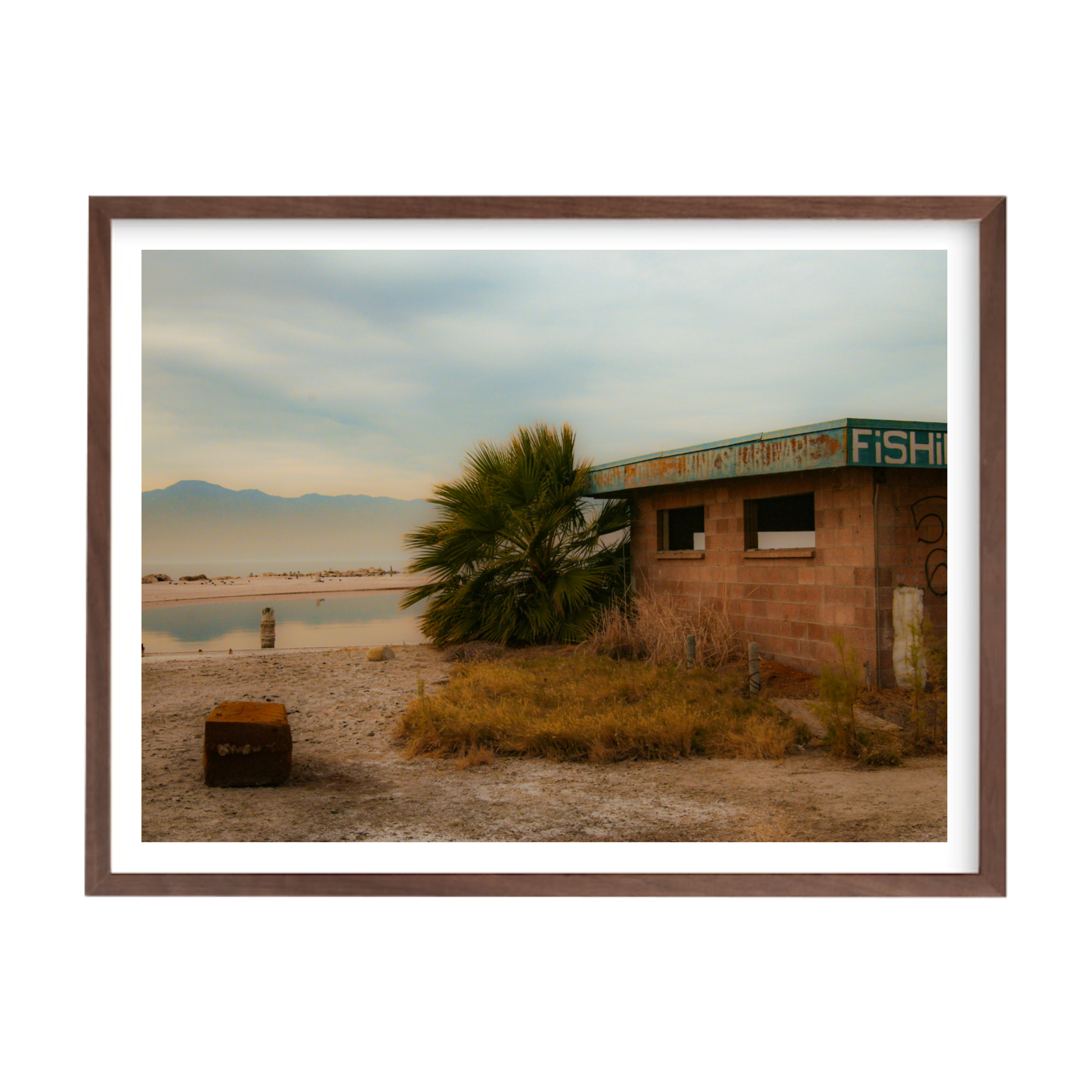 "Salton Sea, California II" by Katie Boyd Photography