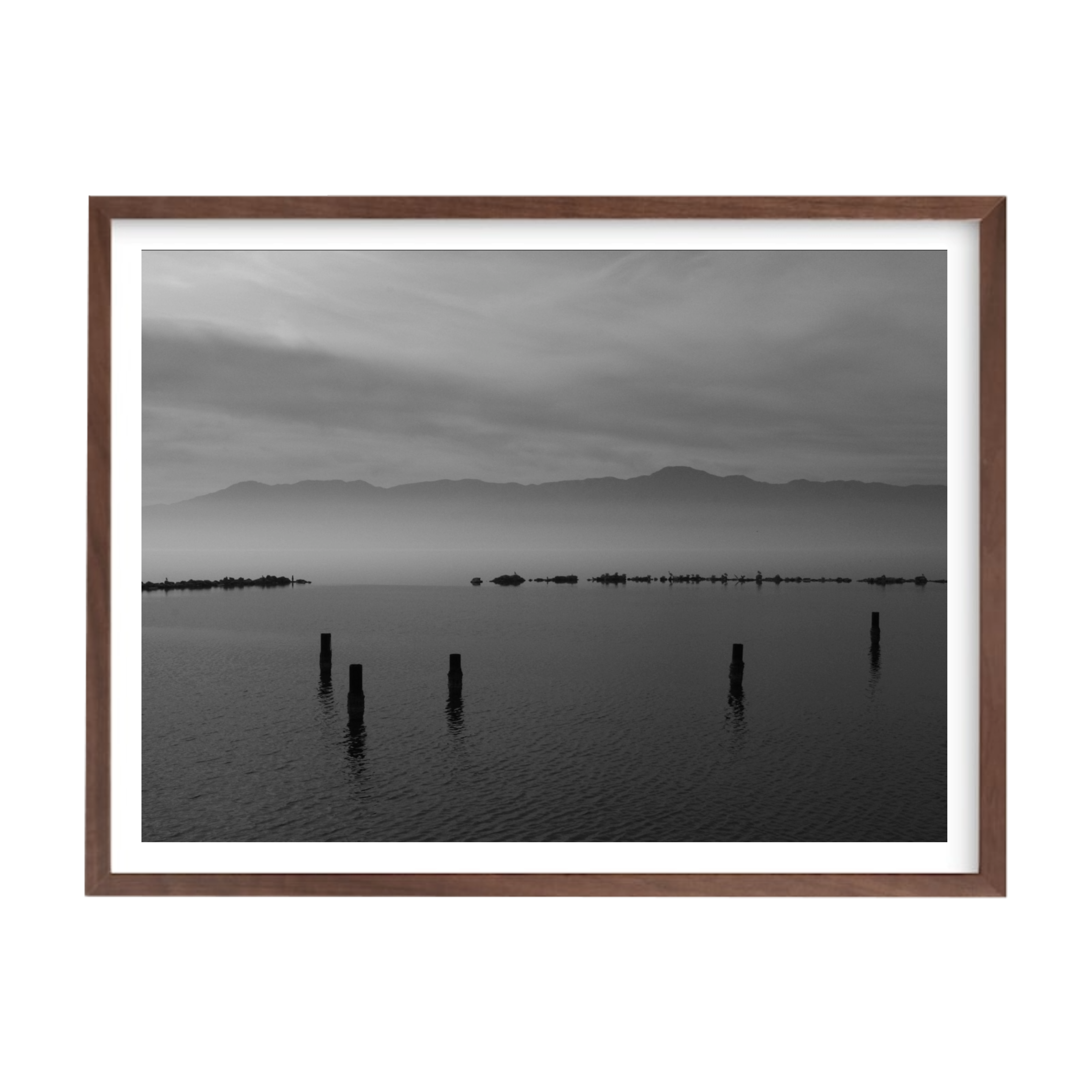 "Salton Sea, California IV" by Katie Boyd Photography