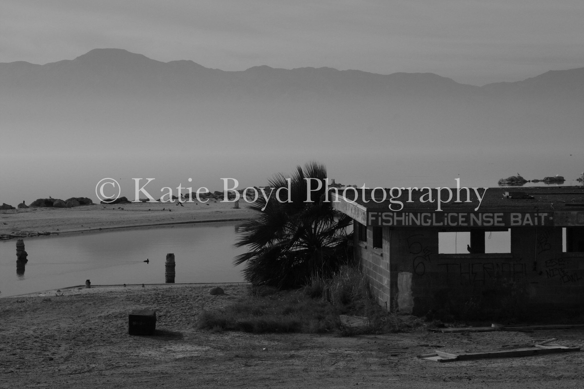 "Salton Sea, California III" by Katie Boyd Photography